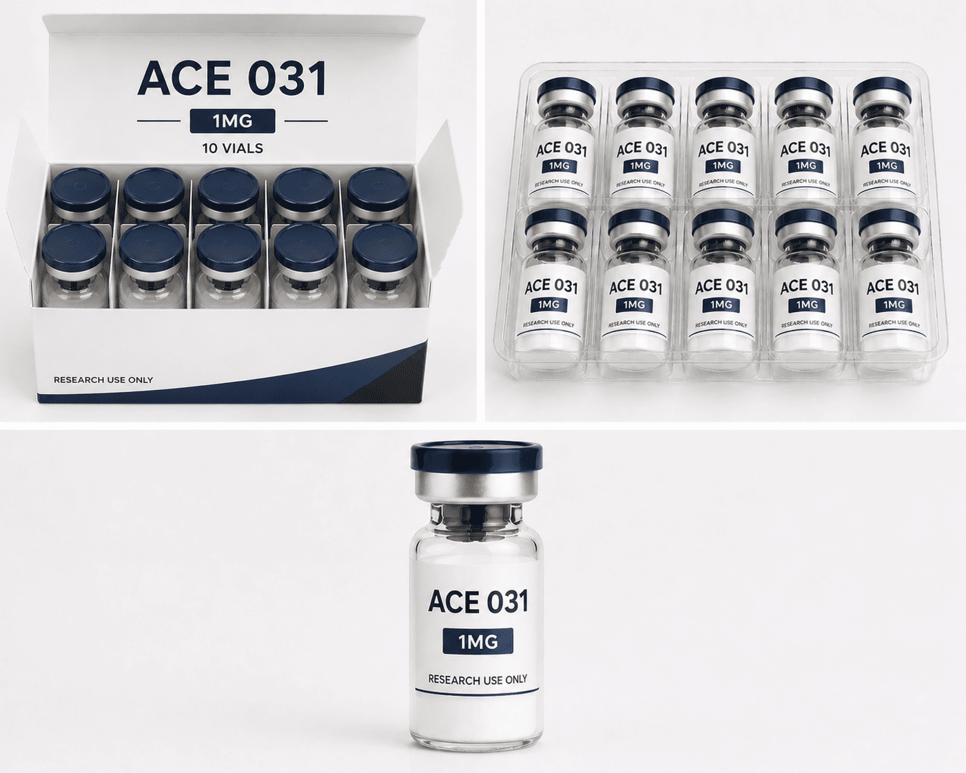ACE 031